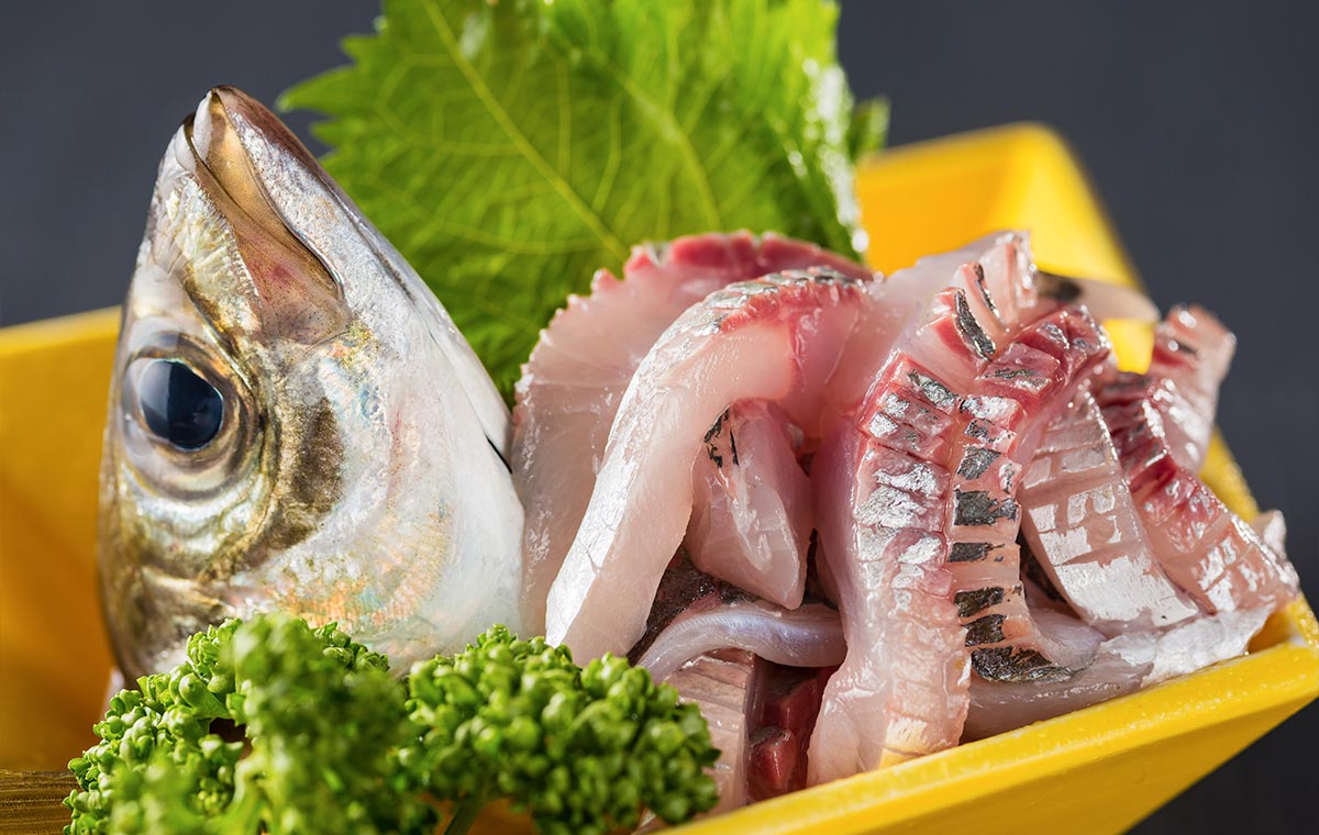 鯵の刺身